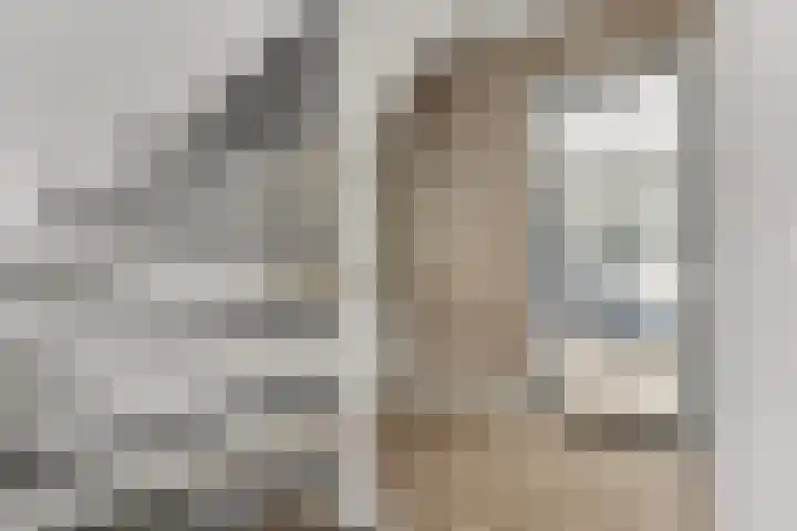 Zeehondstraat 36 Hengelo thumbnail 6