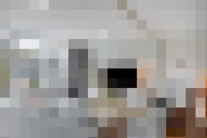 Zeehondstraat 65 Hengelo thumbnail 11