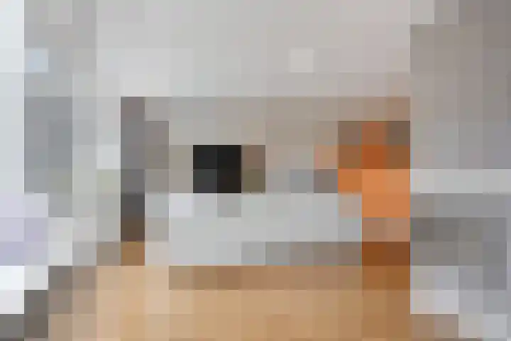 Zeehondstraat 65 Hengelo thumbnail 14
