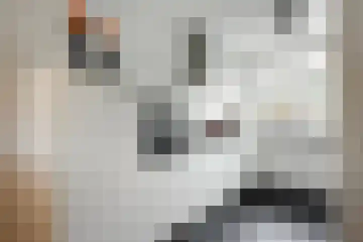 Zeehondstraat 65 Hengelo thumbnail 18