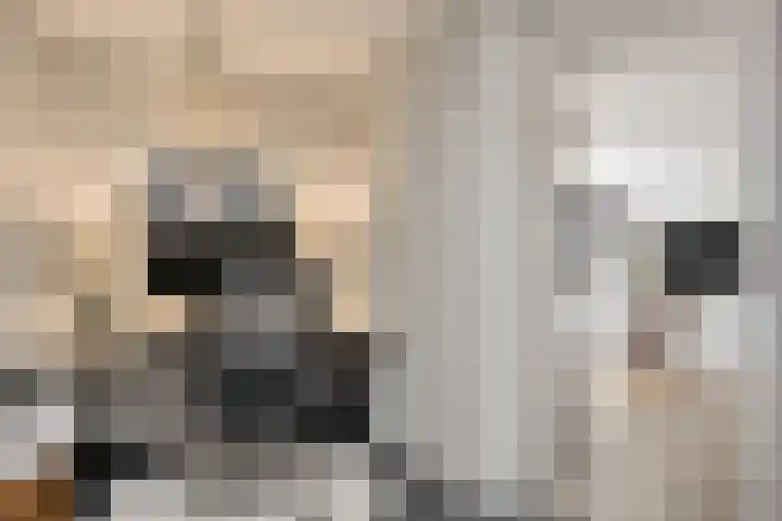 Zeehondstraat 65 Hengelo thumbnail 22