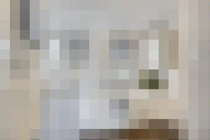 Zeehondstraat 65 Hengelo thumbnail 31