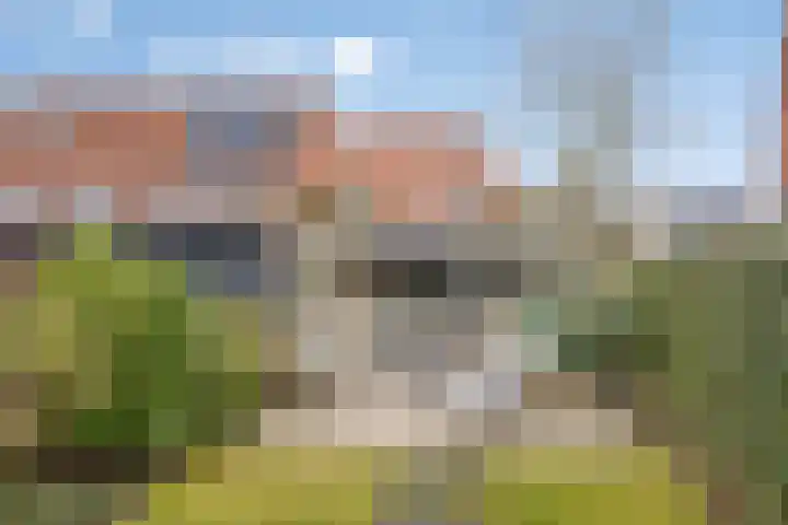 Zeehondstraat 65 Hengelo thumbnail 32