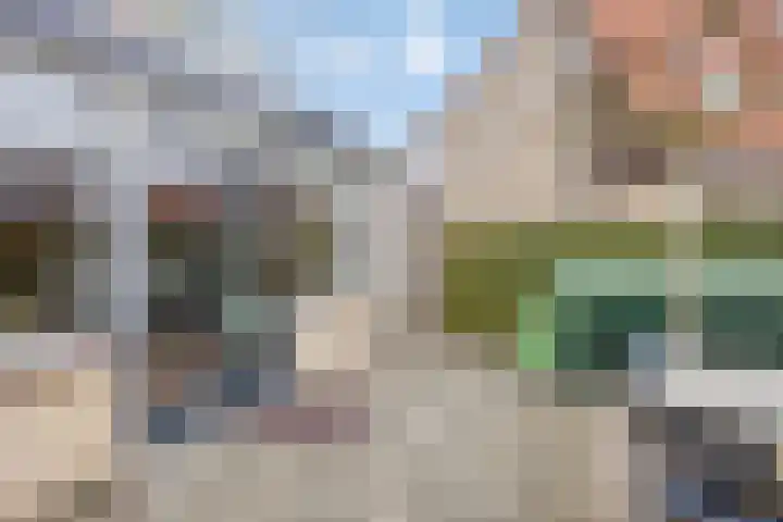 Zeehondstraat 65 Hengelo thumbnail 33