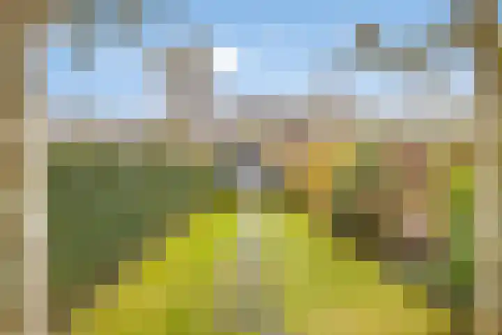 Zeehondstraat 65 Hengelo thumbnail 36