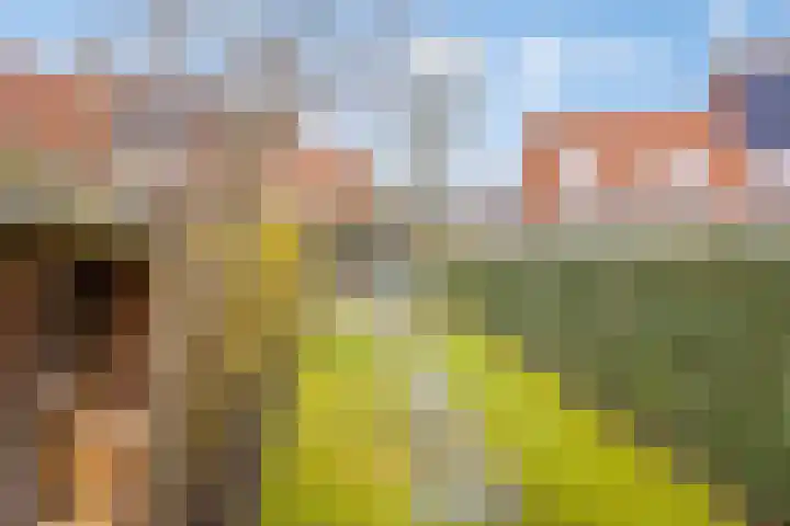Zeehondstraat 65 Hengelo thumbnail 37