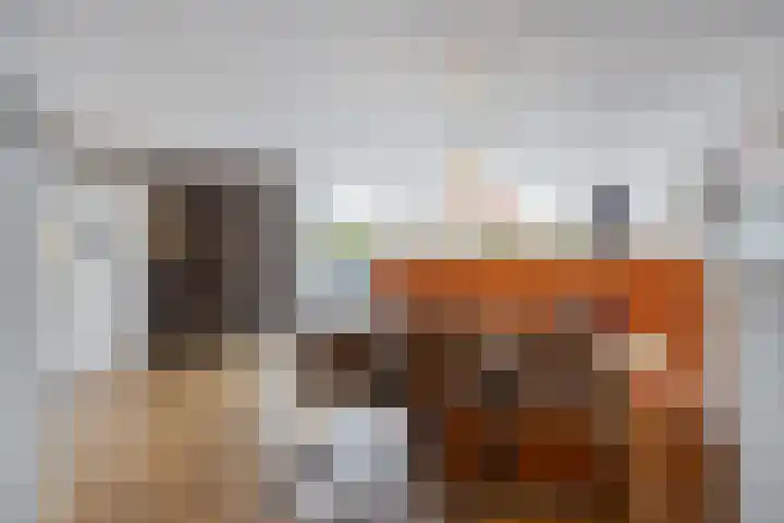 Zeehondstraat 65 Hengelo thumbnail 9