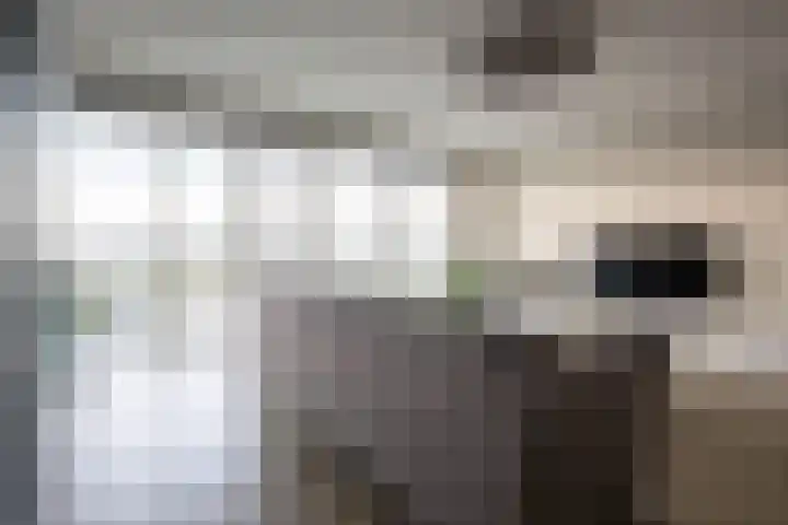 Zeehosplein 53 Katwijk thumbnail 7