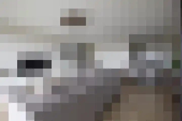 Zeehosplein 53 Katwijk thumbnail 9