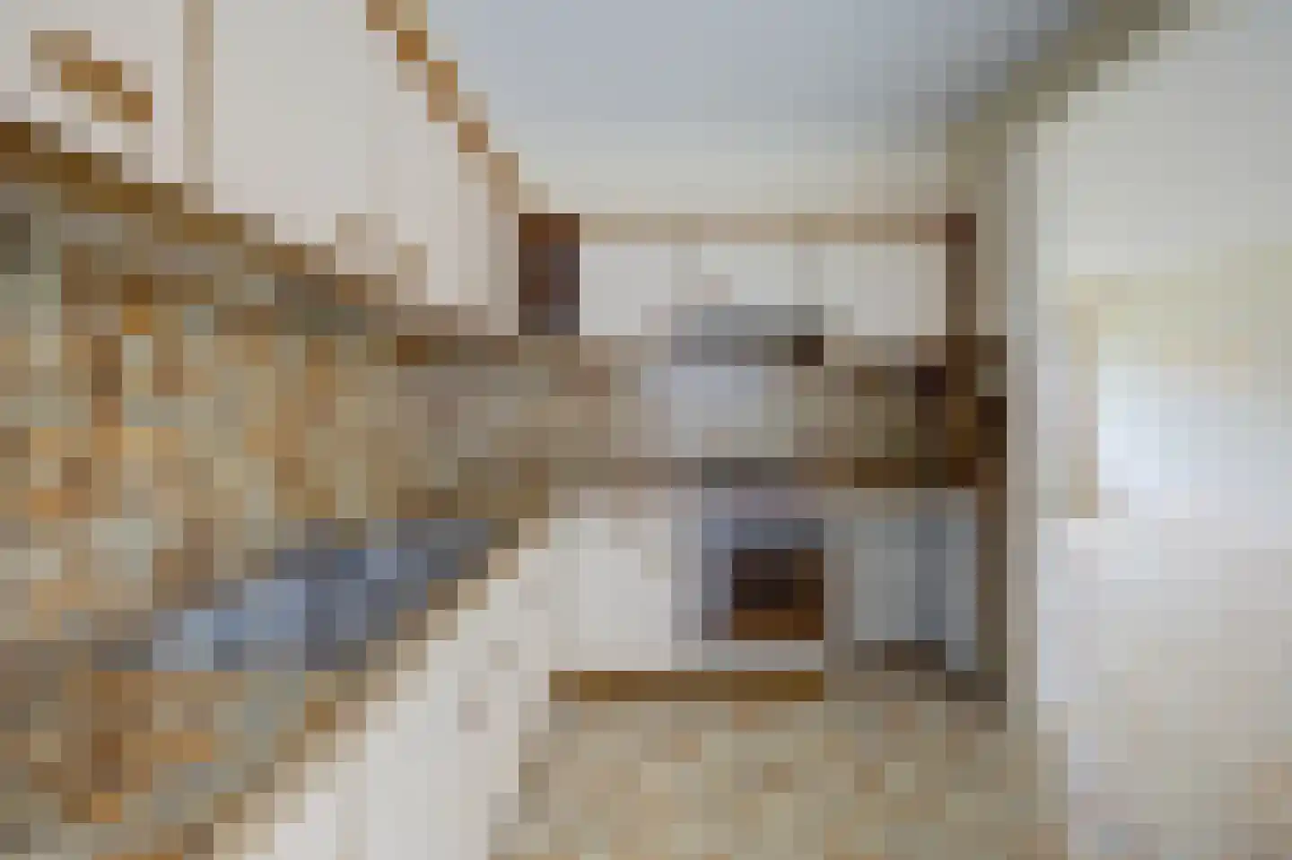 Zeekampen 4 Vollenhove thumbnail 13