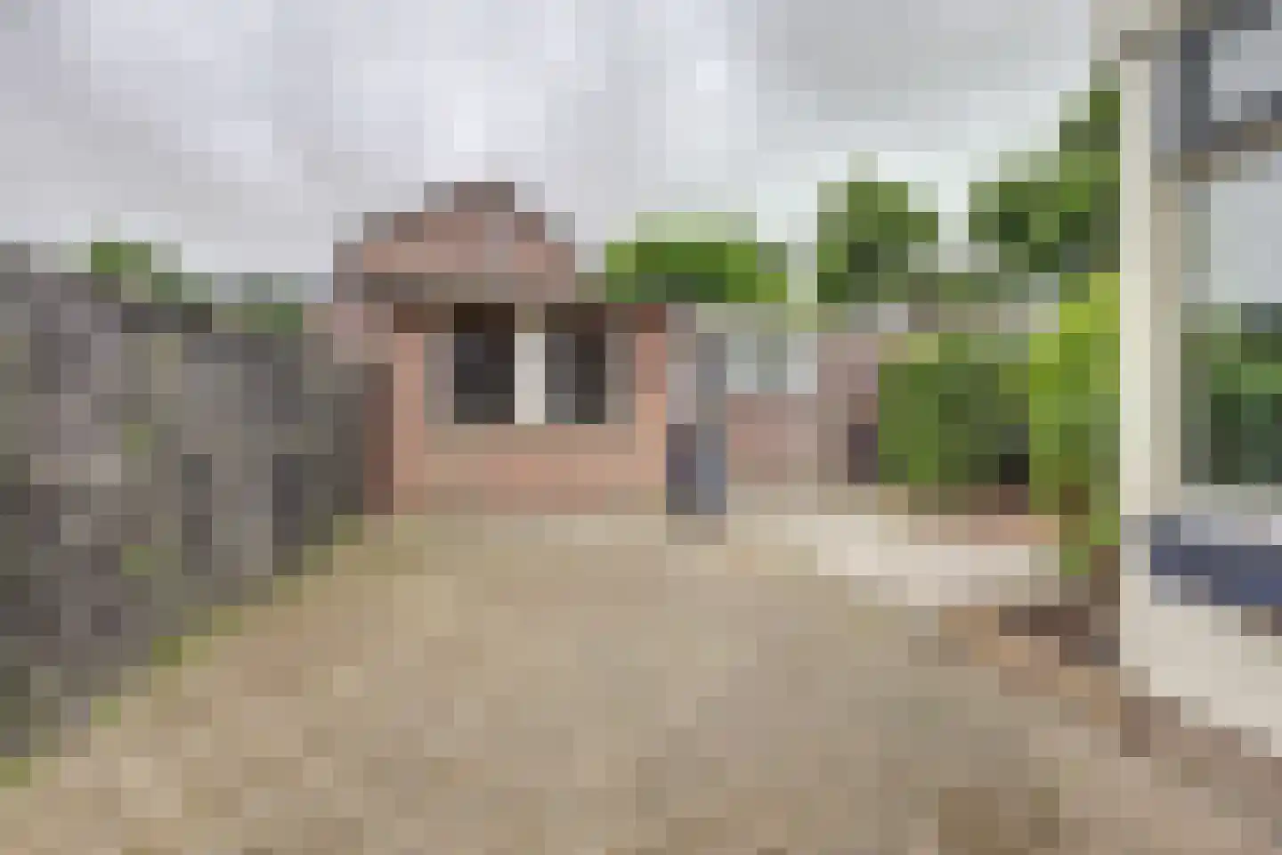 Zeekampen 4 Vollenhove thumbnail 27