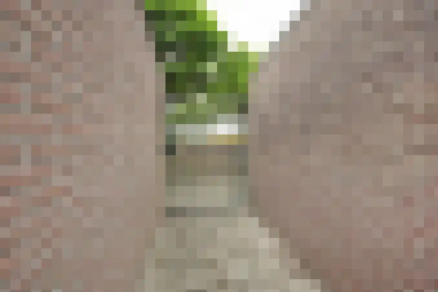 Zeekampen 4 Vollenhove thumbnail 30