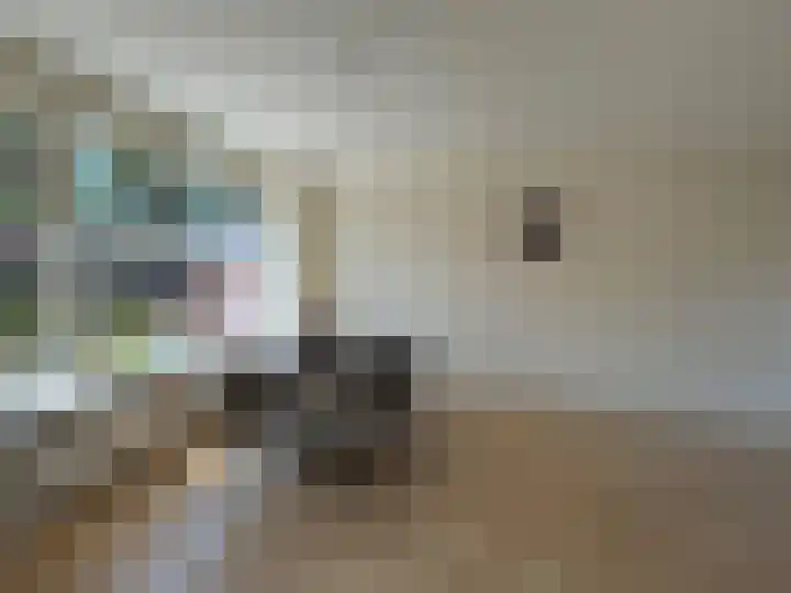 Zeekampen 6 Vollenhove thumbnail 14