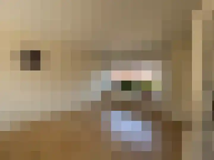 Zeekampen 6 Vollenhove thumbnail 15