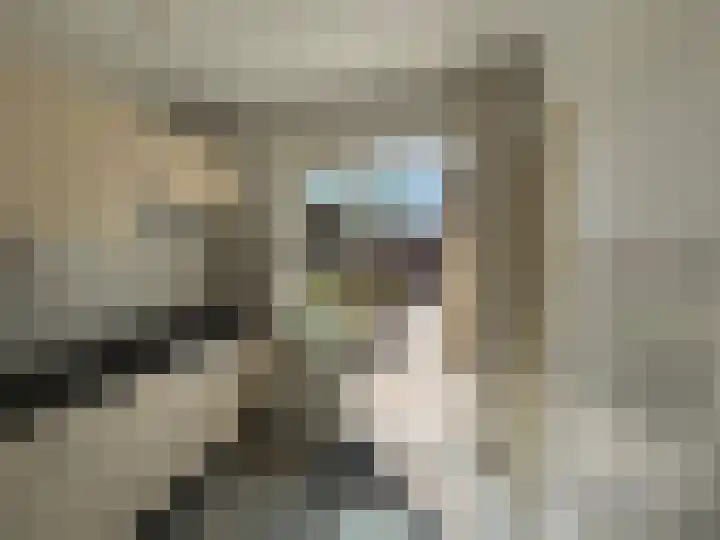 Zeekampen 6 Vollenhove thumbnail 18