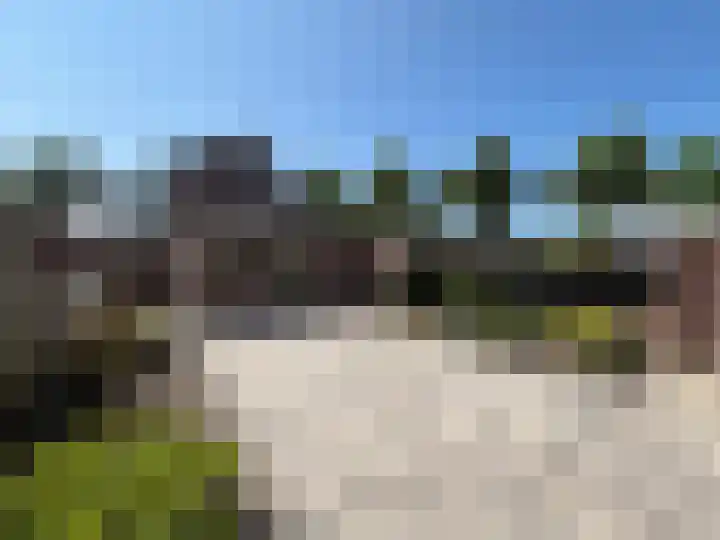 Zeekampen 6 Vollenhove thumbnail 21