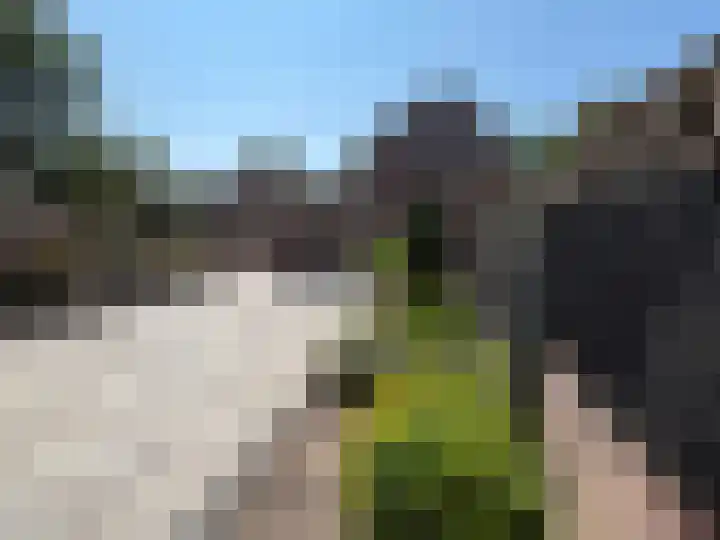 Zeekampen 6 Vollenhove thumbnail 23