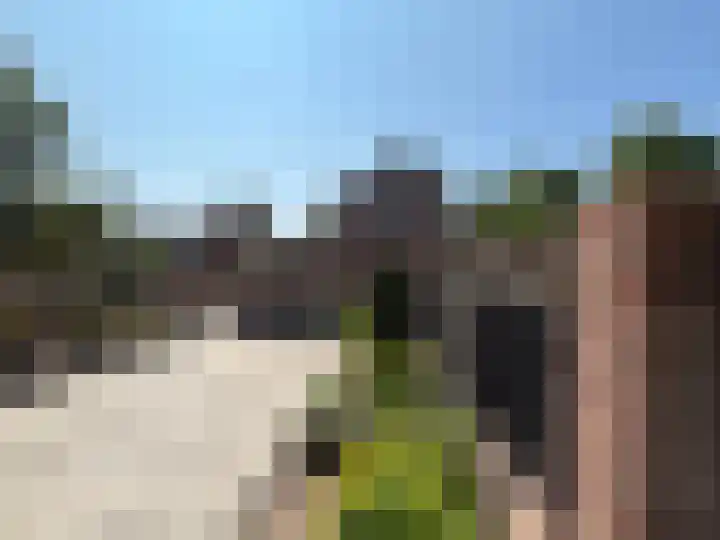 Zeekampen 6 Vollenhove thumbnail 24