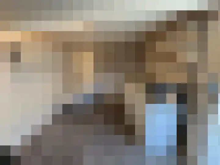 Zeekampen 6 Vollenhove thumbnail 26