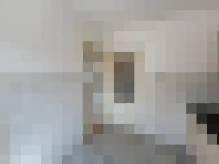 Zeekampen 6 Vollenhove thumbnail 31