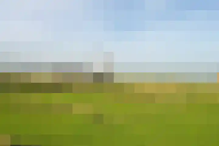Zeekant 101 D Den Haag thumbnail 23