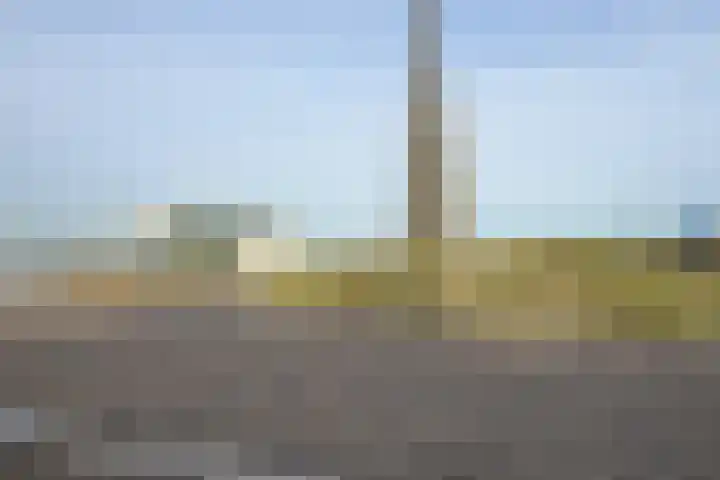 Zeekant 101 D Den Haag thumbnail 24