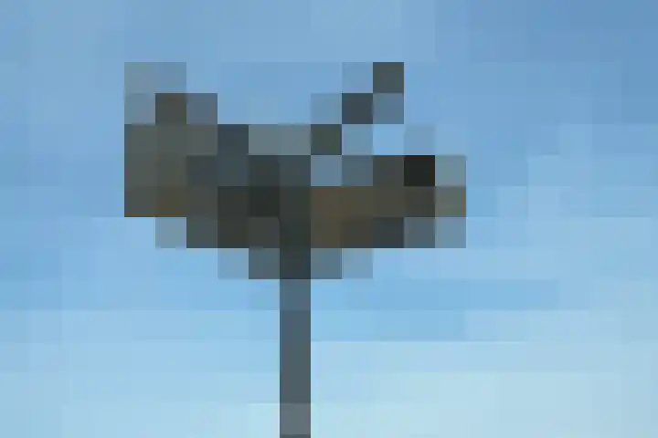 Zeekant 101 D Den Haag thumbnail 25