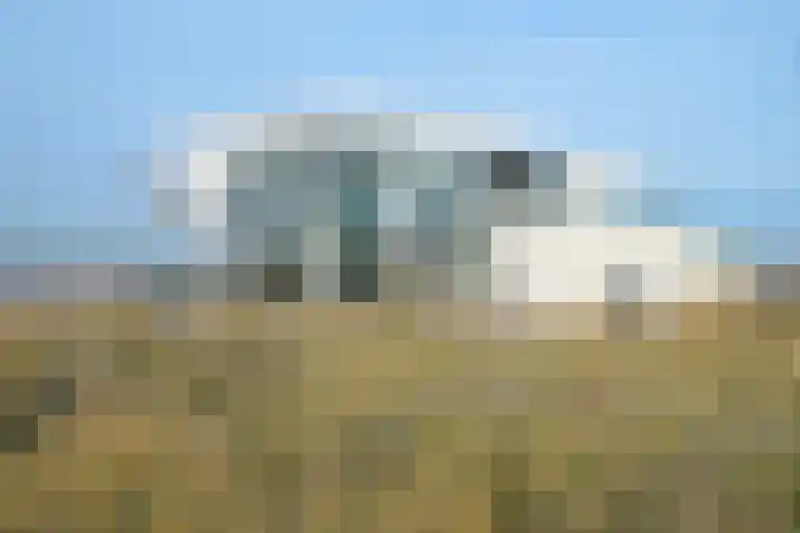 Zeekant 101 D Den Haag thumbnail 26