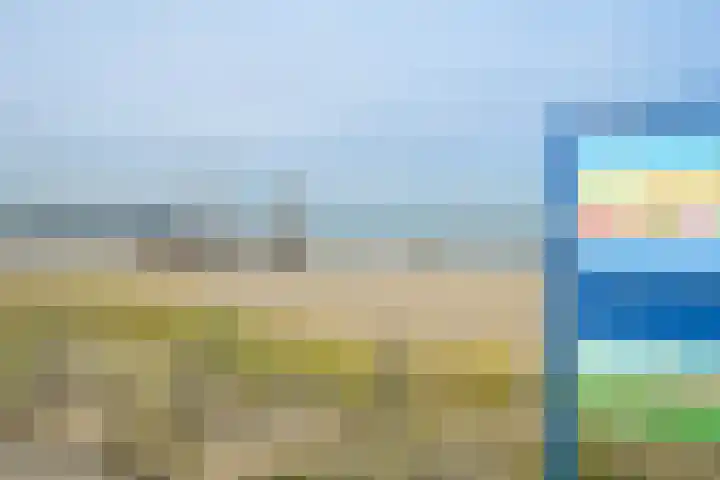 Zeekant 101 D Den Haag thumbnail 27