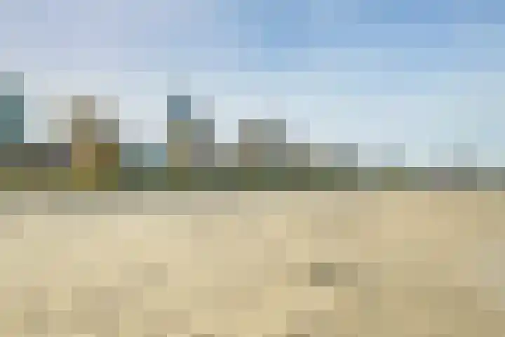 Zeekant 101 D Den Haag thumbnail 28