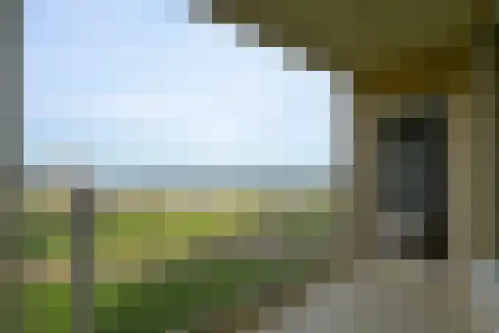 Zeekant 101 D Den Haag thumbnail 8