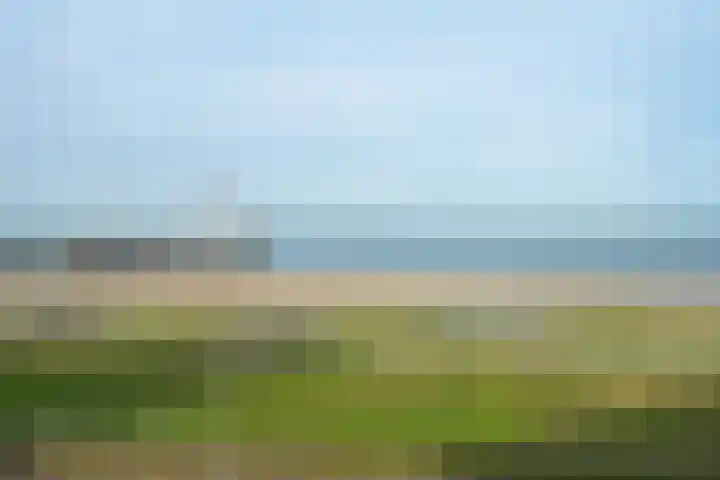 Zeekant 101 D Den Haag thumbnail 9