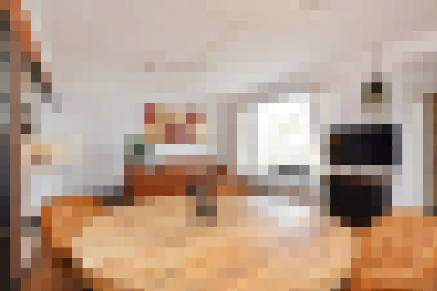 Zeekant 101 E Den Haag thumbnail 5