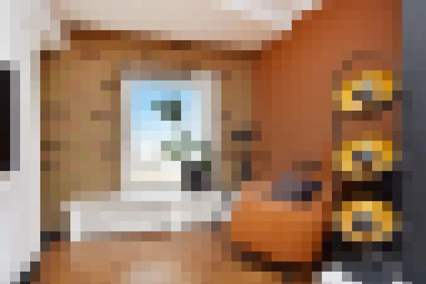 Zeekant 101 E Den Haag thumbnail 8