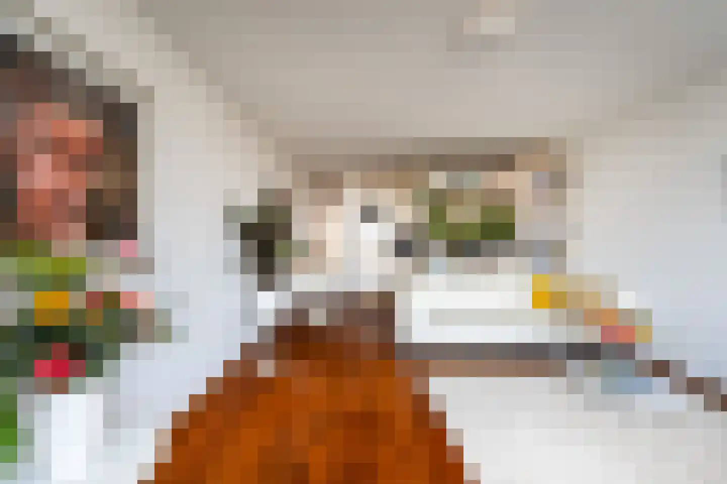 Zeekant 103 C Den Haag thumbnail 12