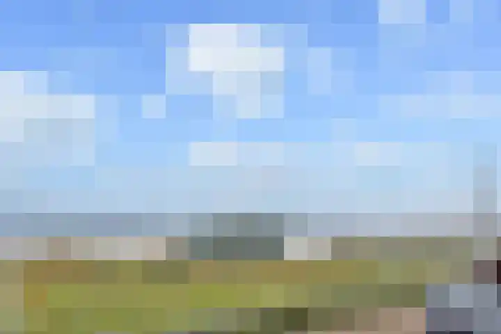 Zeekant 103 H Den Haag thumbnail 43