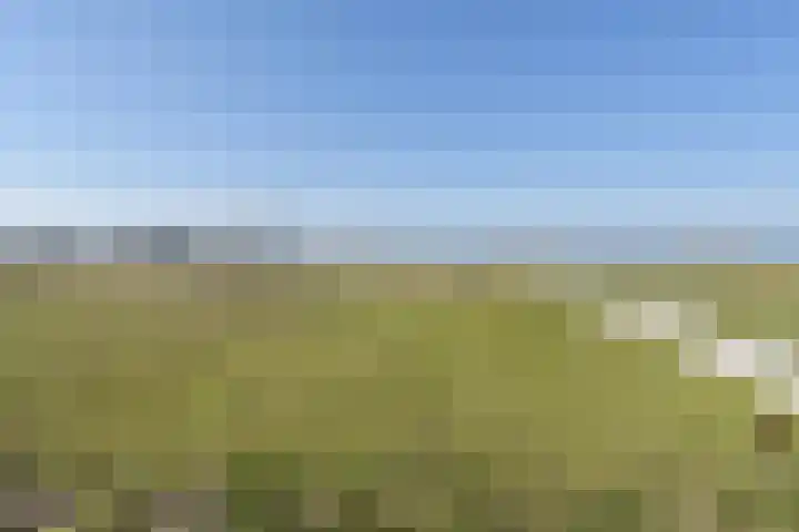 Zeekant 103 M Den Haag thumbnail 23
