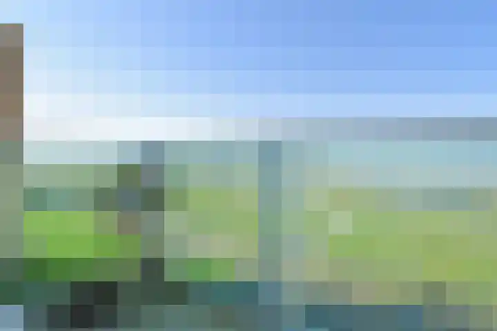 Zeekant 103 M Den Haag thumbnail 7