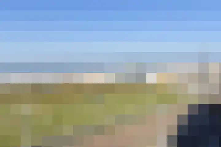 Zeekant 103 M Den Haag thumbnail 8