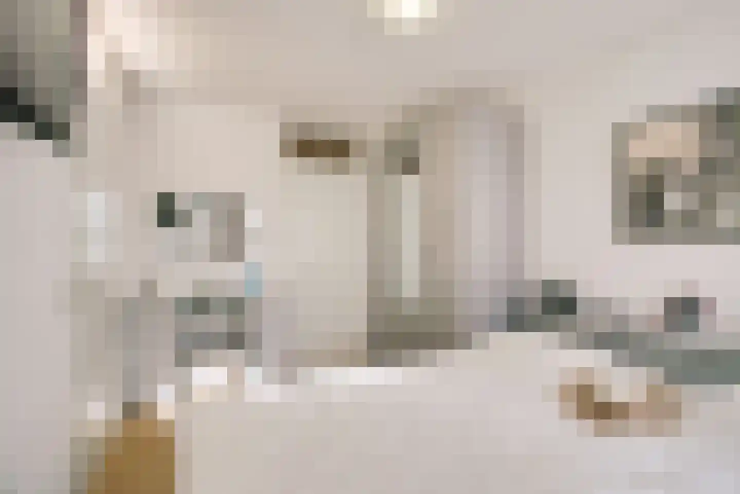 Zeekant 104 C Den Haag thumbnail 17
