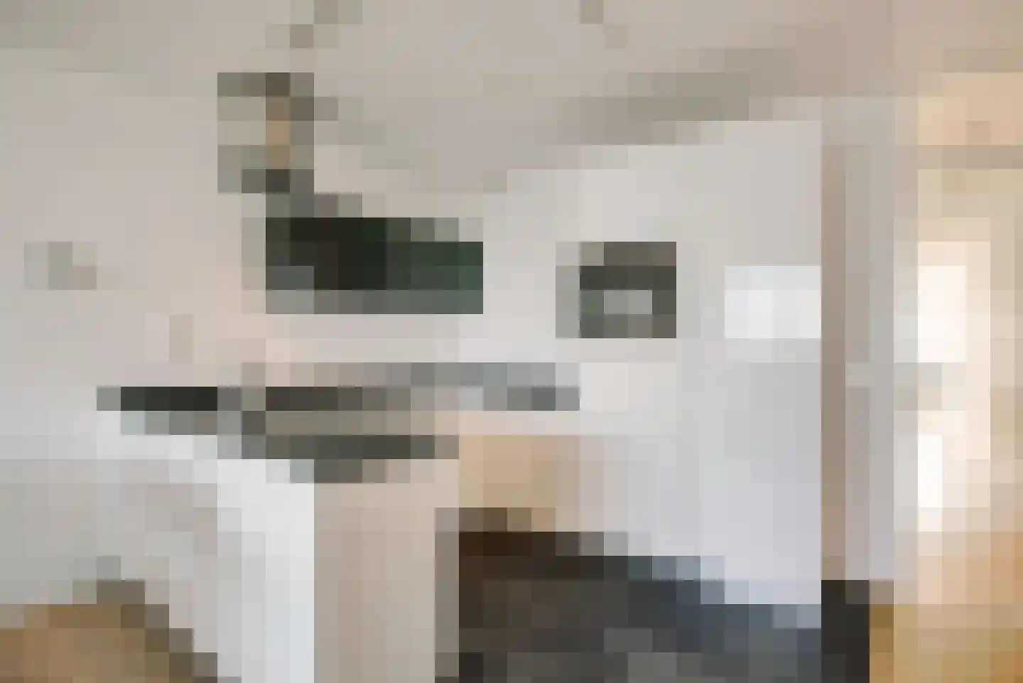 Zeekant 104 C Den Haag thumbnail 4