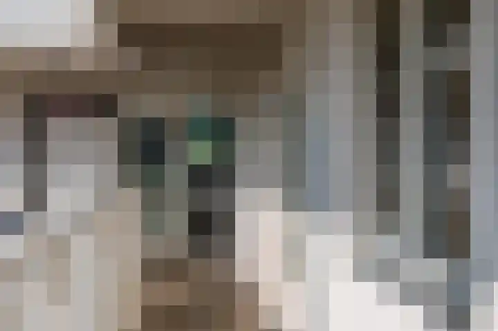 Zeekant 104 H Den Haag thumbnail 19
