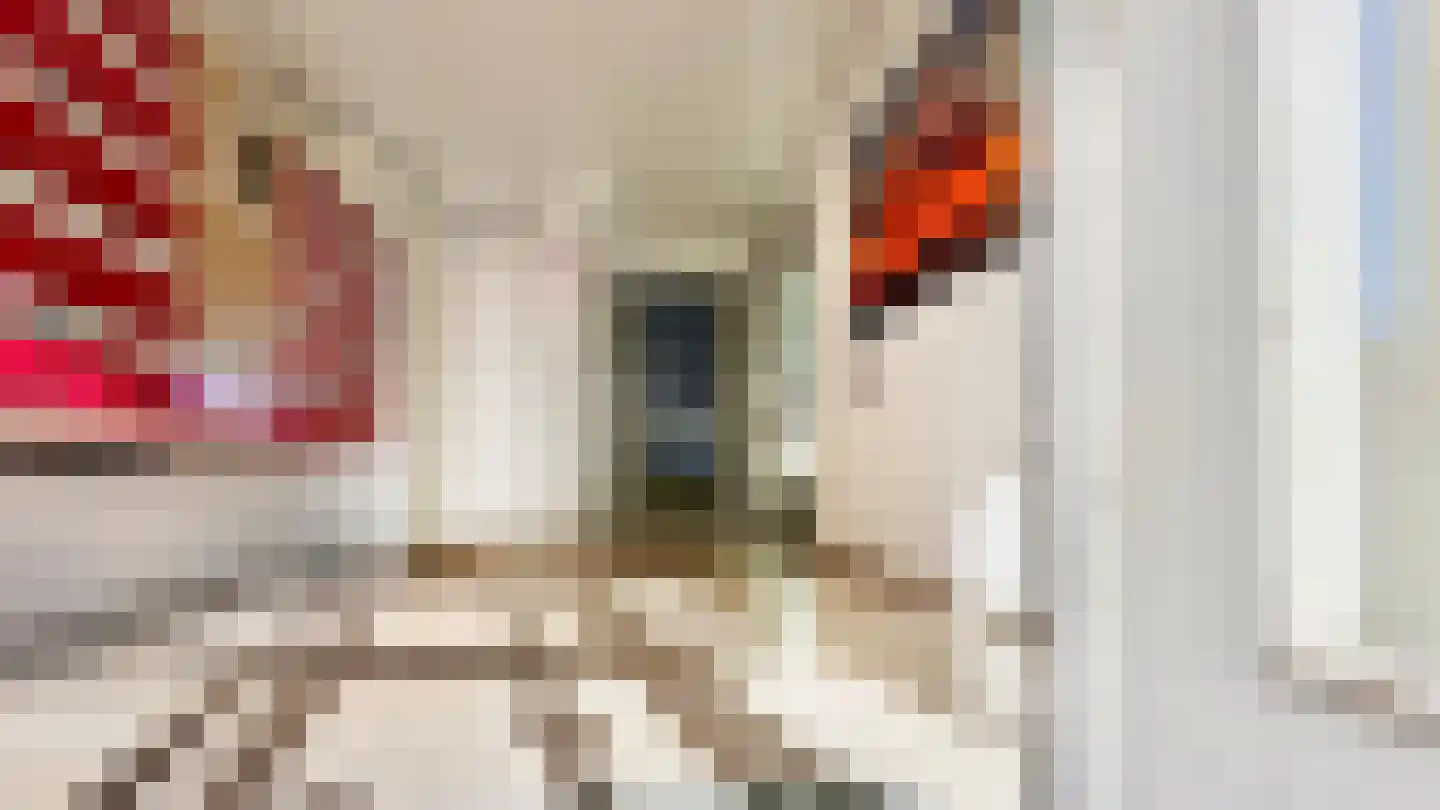 Zeekant 104 L Den Haag thumbnail 8