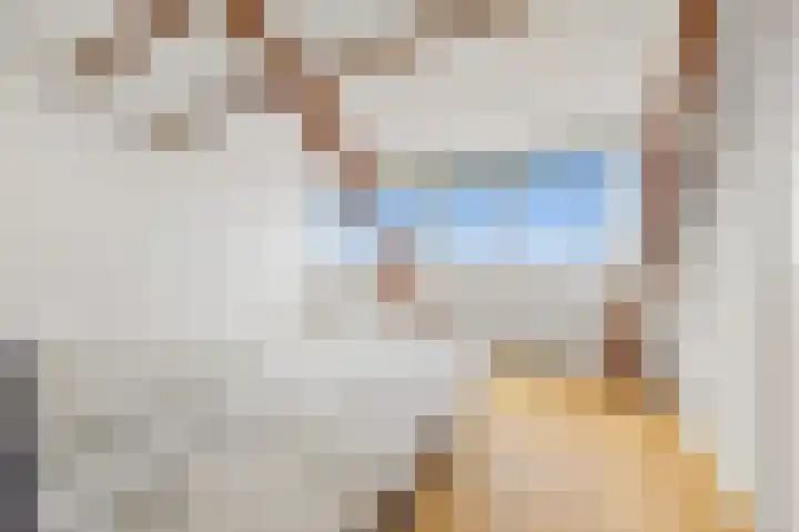 Zeekant 11 Den Haag thumbnail 20