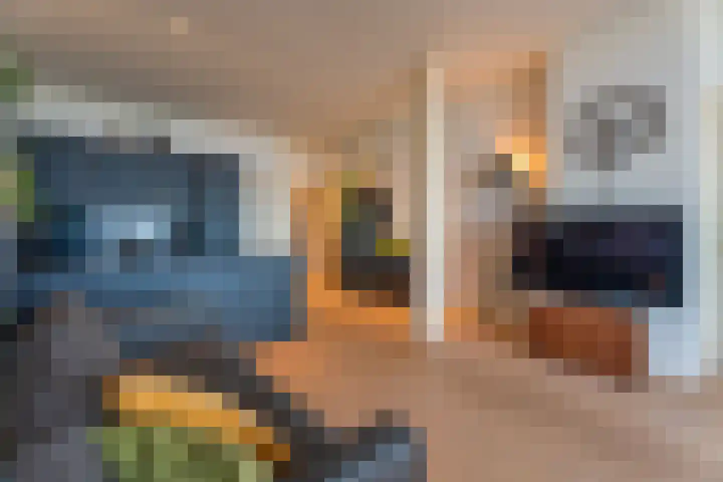 Zeekant 39 Den Haag thumbnail 9