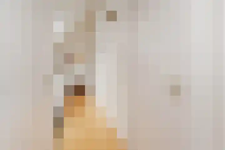 Zeekant 43 B Den Haag thumbnail 4