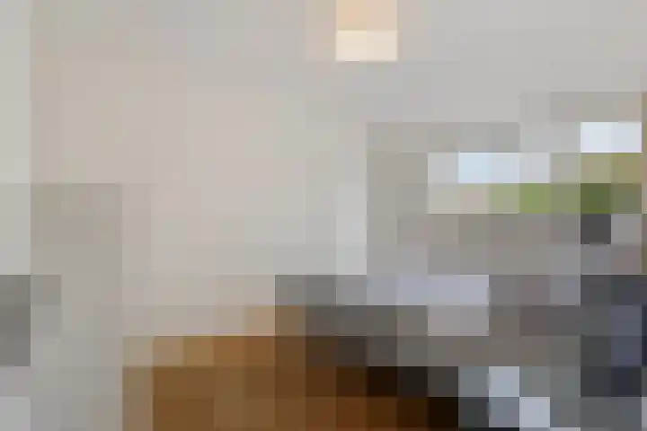 Zeekant 48 C Den Haag thumbnail 25
