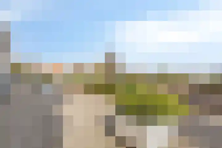 Zeekant 48 C Den Haag thumbnail 36