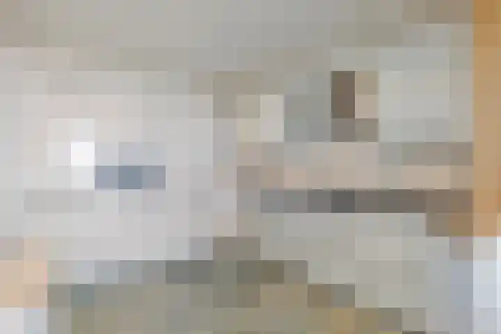 Zeekant 48 C Den Haag thumbnail 5
