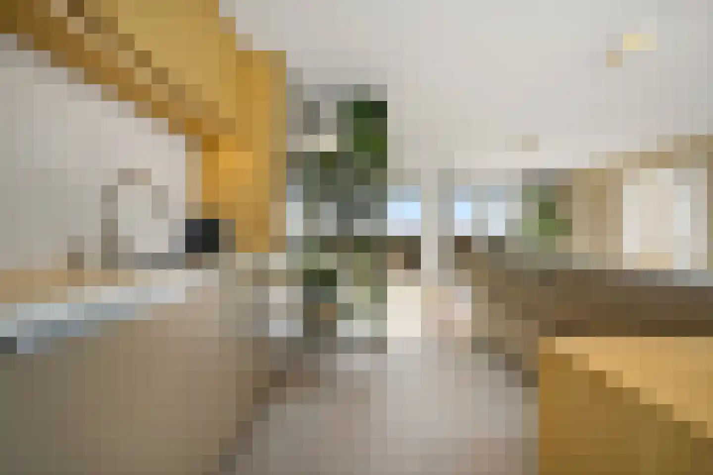 Zeekant 50 B Den Haag thumbnail 15
